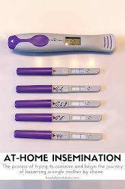 My At Home Insemination And First Attempt At Trying To Get Pregnant Starting My Journey As A Single Mother By Ch Single And Pregnant Getting Pregnant Pregnant