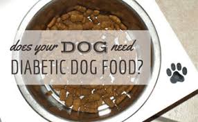 Bland diets should be exclusively used for mild cases when you are aware of what. Does Your Dog Need Diabetic Dog Food Caninejournal Com