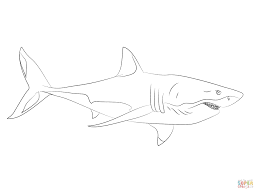 Great White Shark Coloring Pages Png 960 720 Ausmalen Ausmalbilder Hai