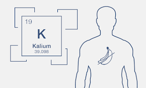 Kaliummangel Symptome Ursachen Und Wirkung