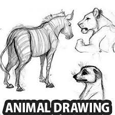 How to draw beautiful animals. 25 Beautiful Animal Drawings For Your Inspiration How To Draw Animals Animal Drawings Pencil Drawings Of Animals Pictures To Draw