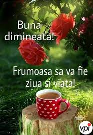 Lumea noastra minunata in imagini. O Zi Frumoasa Viral Pe Internet