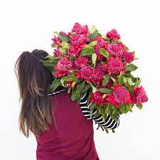 We did not find results for: Flower Delivery Melbourne Online Flowers From 25
