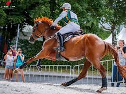 The tokyo 2020 summer olympics were his eighth games. How Scientific Research Is Being Used To Improve Your Horse S Performance Horse And Rider