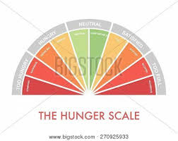 hunger fullness scale vector photo free trial bigstock