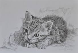 Lost 3 5 X 5 5 Inch Miniature By Astridbruning On Deviantart Animal Drawings Cat Drawing Cat Art