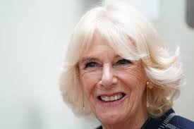 What is the Koh-i-Noor diamond in Queen Camilla's crown worth and why is it  controversial?