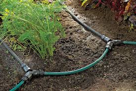 Maybe you would like to learn more about one of these? How To Start A Vegetable Garden Garden Gate