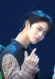 He is excellent in brain. Bae Jin Young Wikipedia