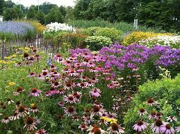 Planting A Butterfly Garden Southern Wild Design Garden Design Pictures Butterfly Garden Design Butterfly Garden