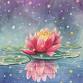 An Enchanted Lotus