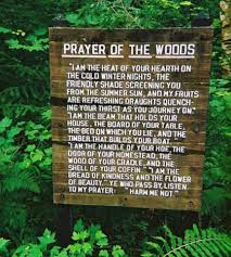 Rachael Caringella Nature Quotes Words Prayers