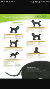 Poodle Grooming Guide Andis Blade Chart Poodle Grooming