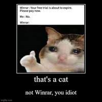 Thumbs Up Crying Cat Know Your Meme The very best crying cat memes. thumbs up crying cat know your meme