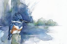 When the quarantines and isolation ends, we'll still be in a pretty precarious situation. When I M Not Working As A Biologist I Paint Watercolor Birds Bored Panda