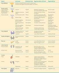 Endocrine System Nursing Nursing School Studying Nursing Study