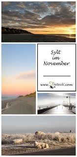 Sylt Im November Ist Wundervoll Schafe Im Nebel Sylt Urlaub Reisen Reiseziele