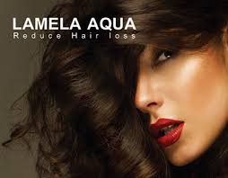 Lamela 專案:: Photos, videos, logos, illustrations and branding :: Behance