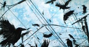 Bird Hitting Window Omen Pin On Art Ideas