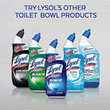 The thick formula clings to the bowl, brightening your toilet as it cleans and disinfects. Lysol Bleach Free Hydrogen Peroxide Toilet Bowl Cleaner Fresh 24 Oz Pack Of 4 Pricepulse