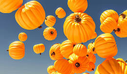 North Canaan Pumpkin Fest