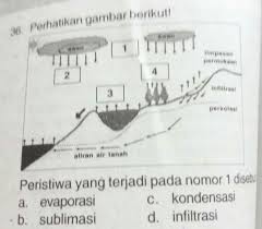 Peristiwa evaporasi adalah peristiwa terjadinya penguapan. Peristiwa Yang Terjadi Pada Nomer 1 Disebut Jawaban Ada Pada Gambar Brainly Co Id