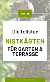 Vogelschutz Einfach Gemacht Wurmkisten Shop Wurmkiste Vogelschutz Terrasse Pflanzen