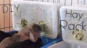 Maybe you are one of the people who are crazy about hats. Diy Hay Rack Box Super Cheap Youtube