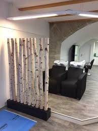 Birkenstamme Von Www Birkenshop Ch Raumteiler Gartenmobel Trennwand