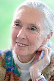 The Native Genius of Jane Goodall: A Map to Living Our Truth