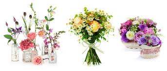 Buy ravishing flowers in pakistan online from ferns n petals. Seven 7 Summer Flowers In Pakistan Agriculture Information Bank