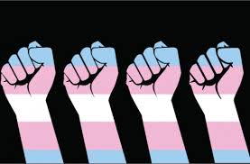 Que toda pessoa trans seja respeitada no seu direito de viver em paz e em liberdade. Nota Da Cut Sobre O Dia Nacional Da Visibilidade Trans Cut Central Unica Dos Trabalhadores