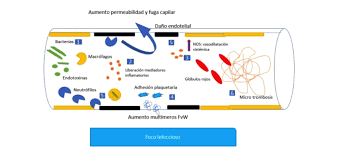 We did not find results for: Vista De Actualizacion En Sepsis Y Choque Septico En Adultos Medunab