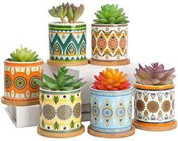 Free delivery on your first order shipped by amazon. Amazon Com Alpspro Succulent Plant Pots 3 1 Inch Ceramic Succulent Planter Small Cylinder Flower Succulent Pots Ceramic Succulent Planter Succulent Planter