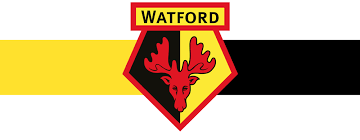 Watford shirt with bitcoin logo and football. Watford Fc Lee Scott Brand Identity Specialist