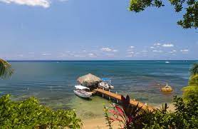 Turtle Beach Dive Resort Roatan Dive Resort Roatan Turtle Beach