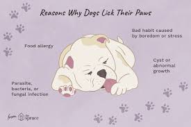 Pin On All About Our Animals