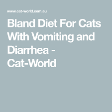 However, increasingly, holistically oriented veterinarians are seeing a connection between diet and ibd. Bland Diet For Cats With Vomiting And Diarrhea Cat World Bland Diet Bland Diet