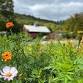 open days + pick-your-own garden — SUSU commUNITY