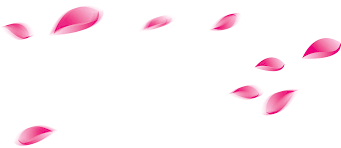 Falling Petals Png Pink Rose Falling Petals Transparent Background Transparent Cartoon Jing Fm Polish your personal project or design with these rose petal transparent png images, make it even more personalized and more attractive.