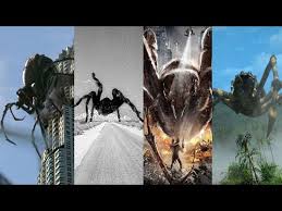 Based on actual creatures that for years have tormented our armed forces in the middle east, these creatures have now invaded the southwestern deserts of the united states. Download Spiders Movies 3gp Mp4 Codedwap