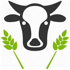 Bull Farm Farming Natural Wheat Cow Head Organic Agriculture Icon Download On Iconfinder Rice wheat png, clipart, barley, cartoon, cartoon wheat, caryopsis. bull farm farming natural wheat cow head organic agriculture icon download on iconfinder