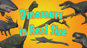 Maybe you would like to learn more about one of these? Dinosaurs In Real Size