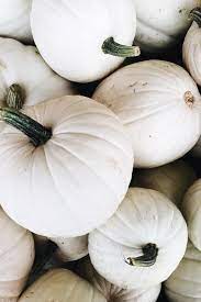 We did not find results for: White Pumpkin Wallpapers Top Free White Pumpkin Backgrounds Wallpaperaccess