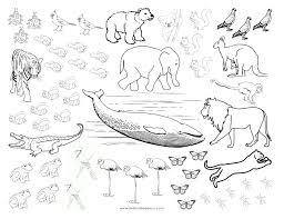 Animals Coloring And Counting Sheet Coloring Pages Color Activities Animal Templates