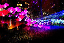 Amsterdam S Annual Light Festival Brightens The City S Winter Nights Butterfly Lighting Festival Lights Light Tunnel