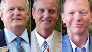 Three eastern Collier Republicans vie for commission seat