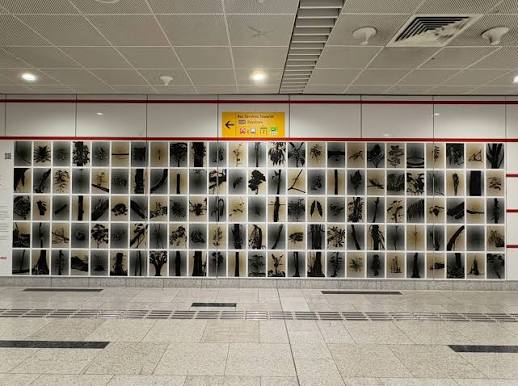 Marvin Tang @marvin.tang Caldecott MRT Station something in between “As I leaned against the window of a packed morning train, I caught traces of the forest blurring at the edge of my