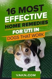 Pin On Best Home Remedies That Really Work Fast