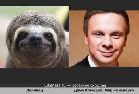 Забавные сходства пользователя Petro на Likeness.ru
